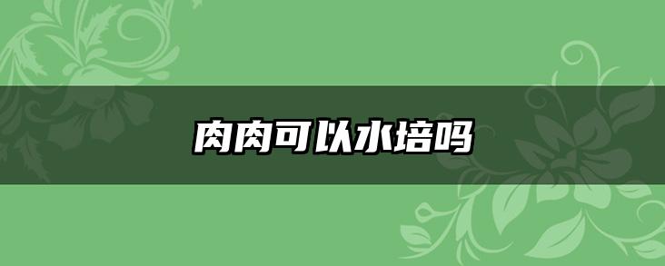 肉肉可以水培吗