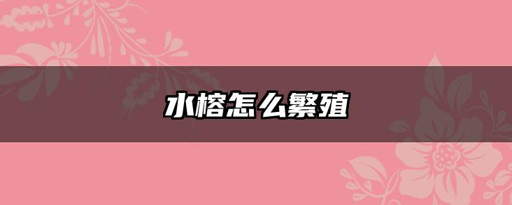 水榕怎么繁殖