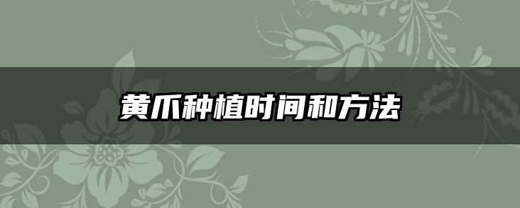 黄爪种植时间和方法