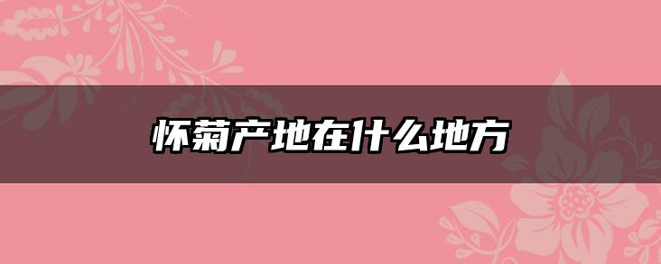 怀菊产地在什么地方