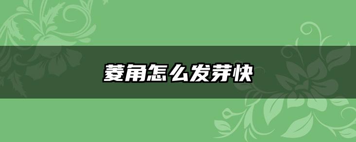菱角怎么发芽快