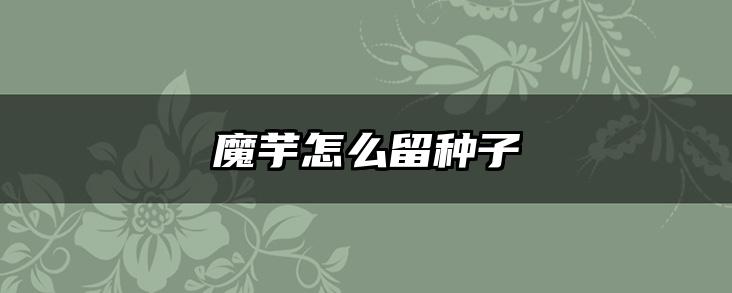 魔芋怎么留种子