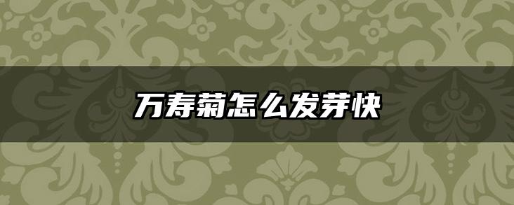 万寿菊怎么发芽快