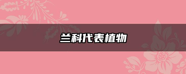 兰科代表植物