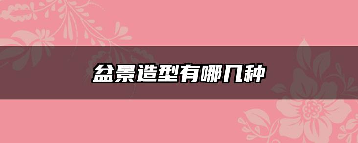 盆景造型有哪几种