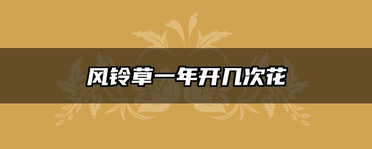风铃草一年开几次花