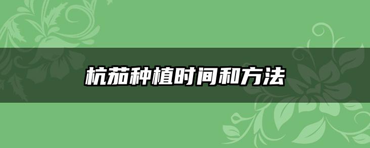 杭茄种植时间和方法