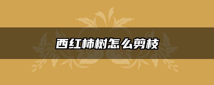 西红柿树怎么剪枝