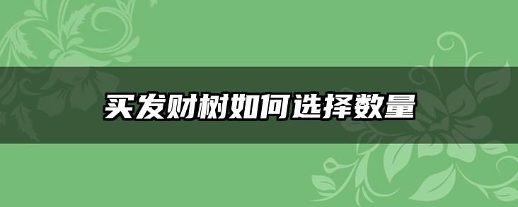 买发财树如何选择数量