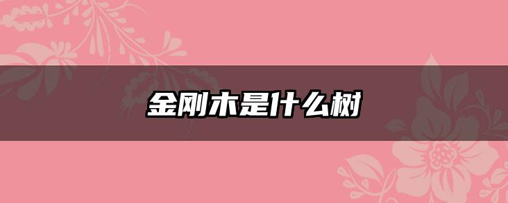 金刚木是什么树