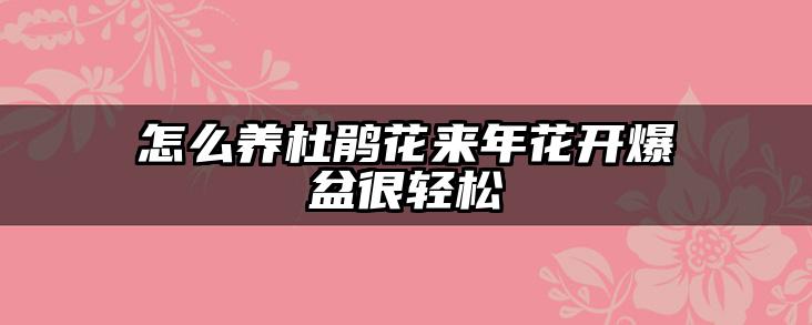 怎么养杜鹃花来年花开爆盆很轻松