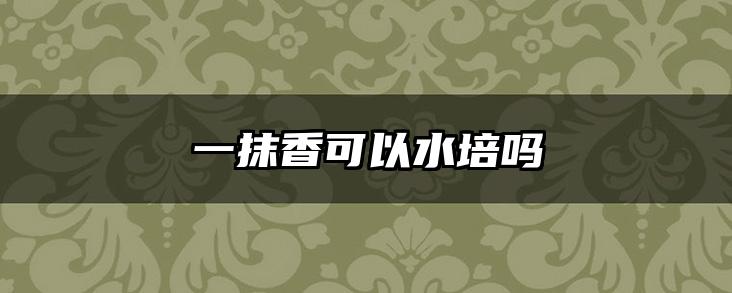 一抹香可以水培吗