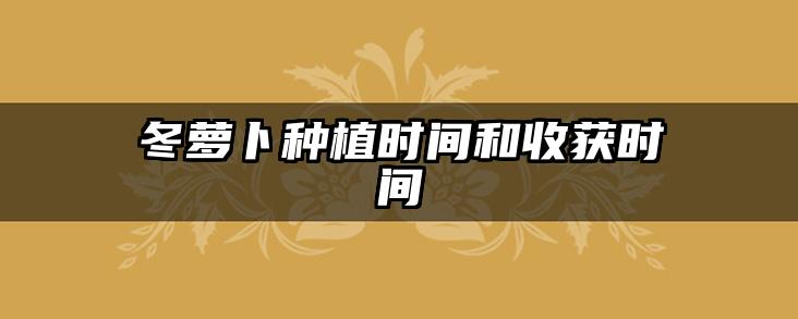 冬萝卜种植时间和收获时间