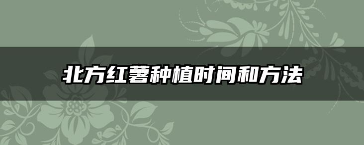 北方红薯种植时间和方法