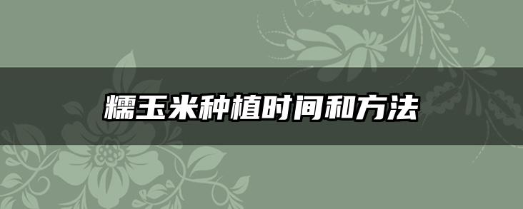 糯玉米种植时间和方法