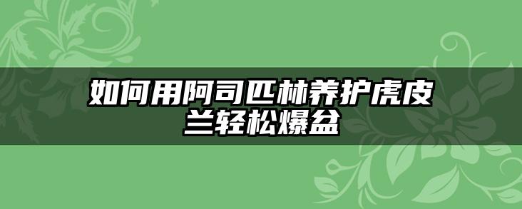 如何用阿司匹林养护虎皮兰轻松爆盆