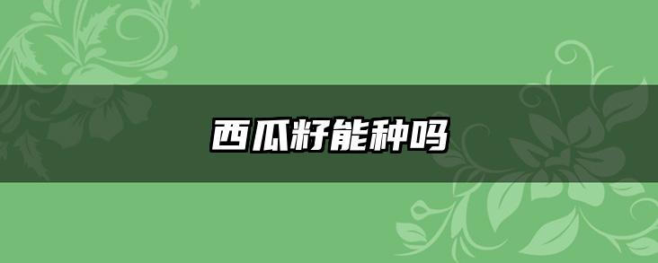西瓜籽能种吗