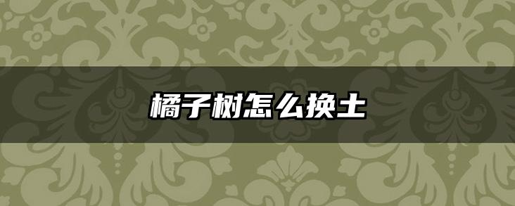 橘子树怎么换土