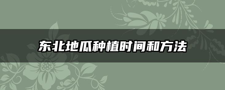 东北地瓜种植时间和方法