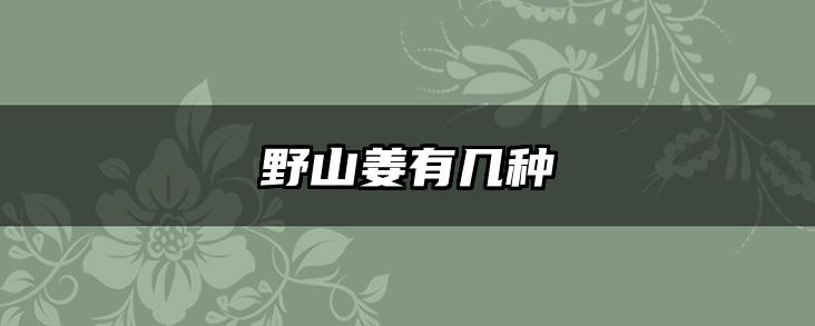 野山姜有几种
