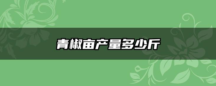 青椒亩产量多少斤