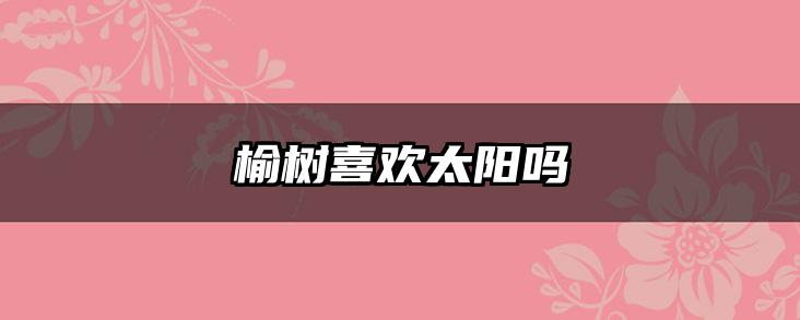 榆树喜欢太阳吗