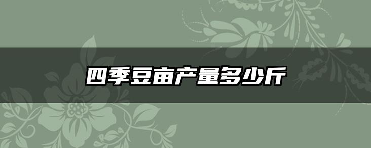 四季豆亩产量多少斤