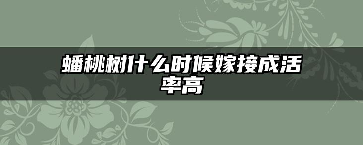 蟠桃树什么时候嫁接成活率高