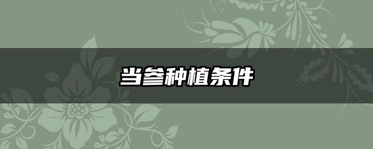 当参种植条件