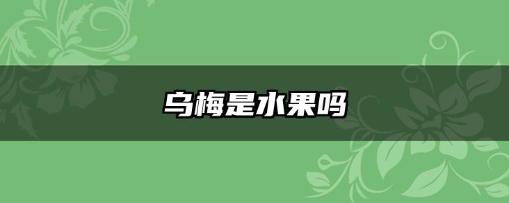 乌梅是水果吗