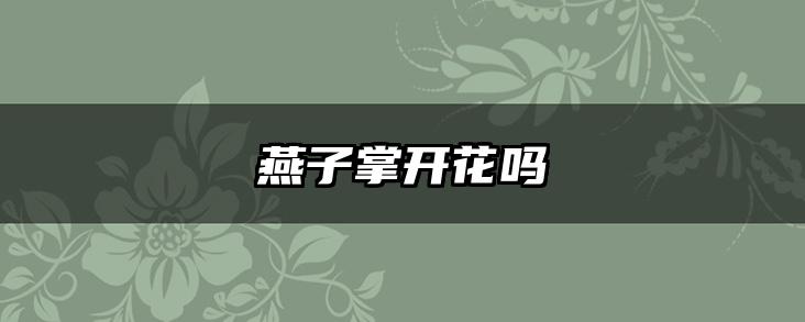 燕子掌开花吗