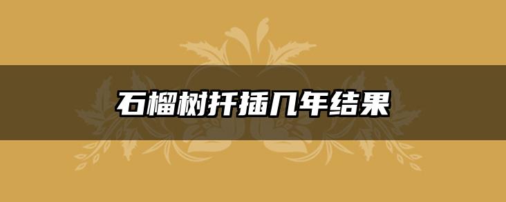 石榴树扦插几年结果