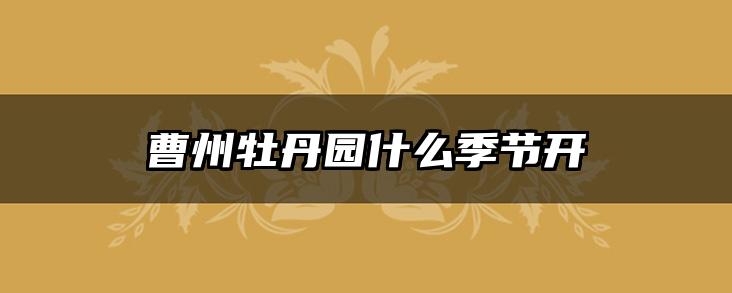 曹州牡丹园什么季节开