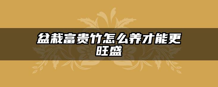 盆栽富贵竹怎么养才能更旺盛