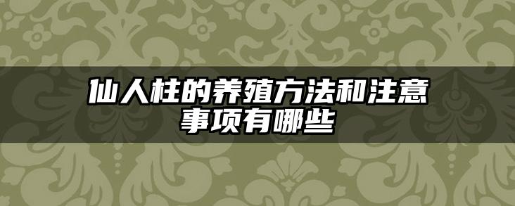 仙人柱的养殖方法和注意事项有哪些