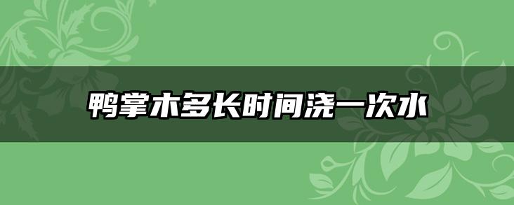 鸭掌木多长时间浇一次水