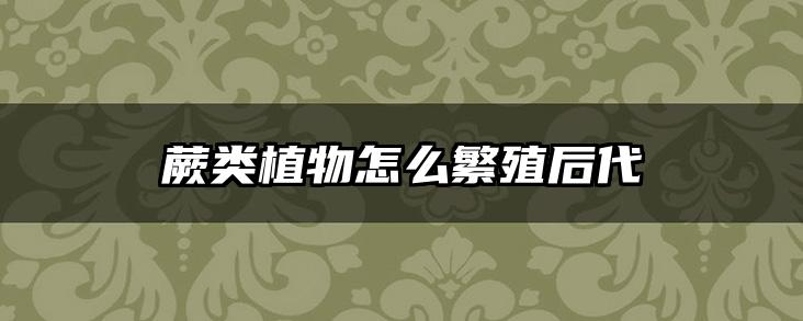蕨类植物怎么繁殖后代