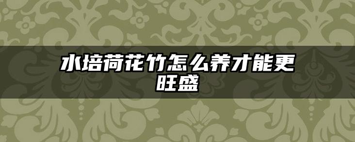水培荷花竹怎么养才能更旺盛