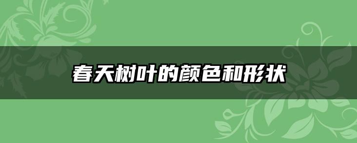 春天树叶的颜色和形状