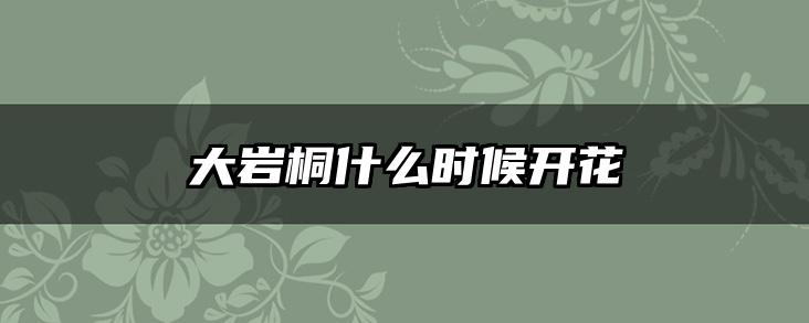 大岩桐什么时候开花