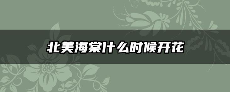 北美海棠什么时候开花