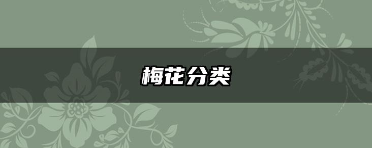 梅花分类