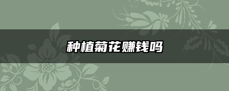 种植菊花赚钱吗