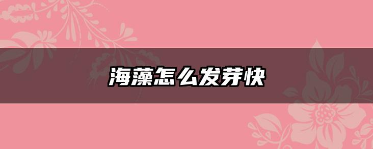 海藻怎么发芽快