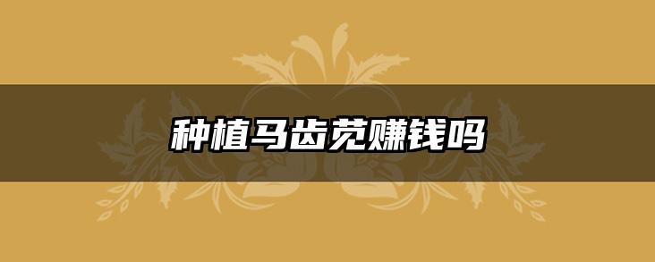 种植马齿苋赚钱吗