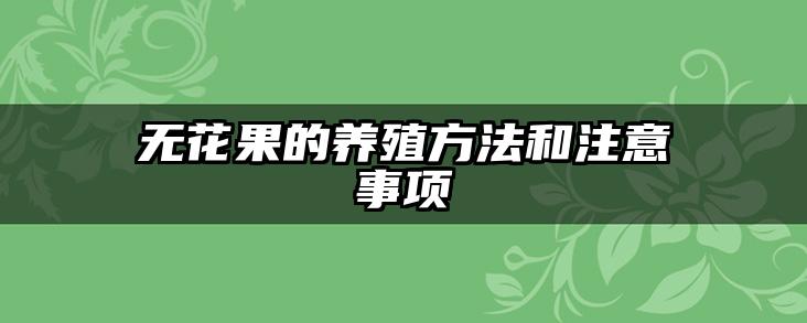 无花果的养殖方法和注意事项