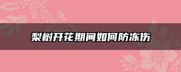 梨树开花期间如何防冻伤