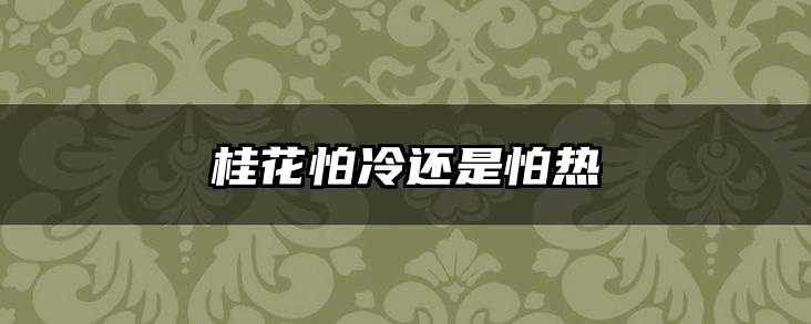 桂花怕冷还是怕热