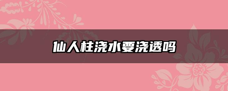 仙人柱浇水要浇透吗