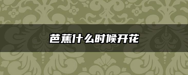 芭蕉什么时候开花